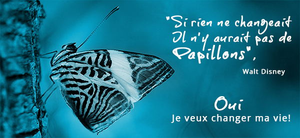 papillon bleu-graphic-temoignage