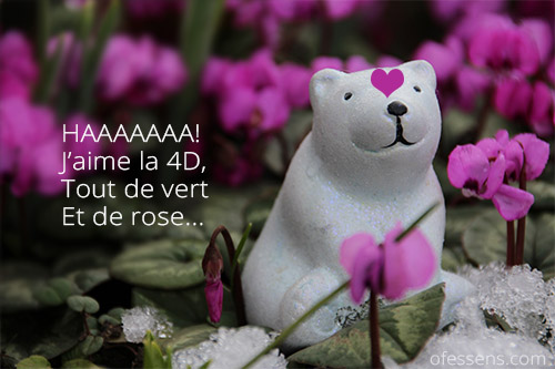 Ours-polaire-fleurs-roses