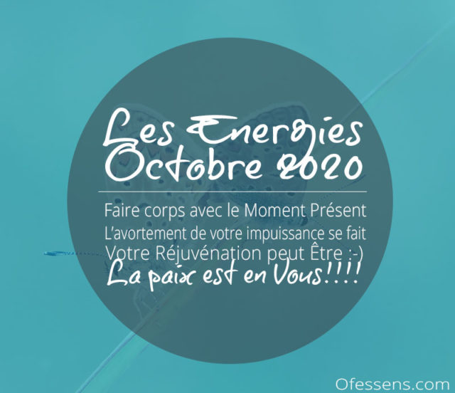 Faire corps avec le Moment Présent